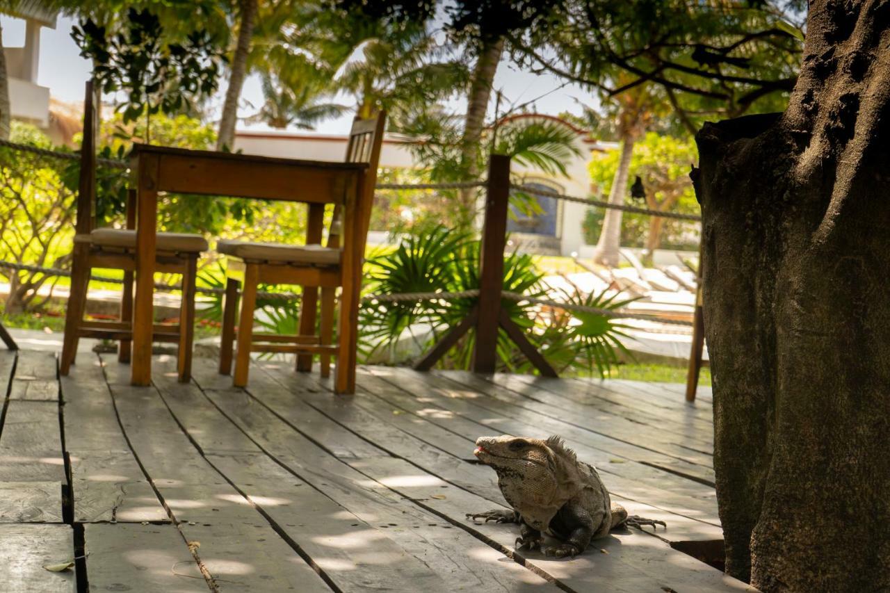 Marina Paraiso Isla Mujeres Hotel エクステリア 写真